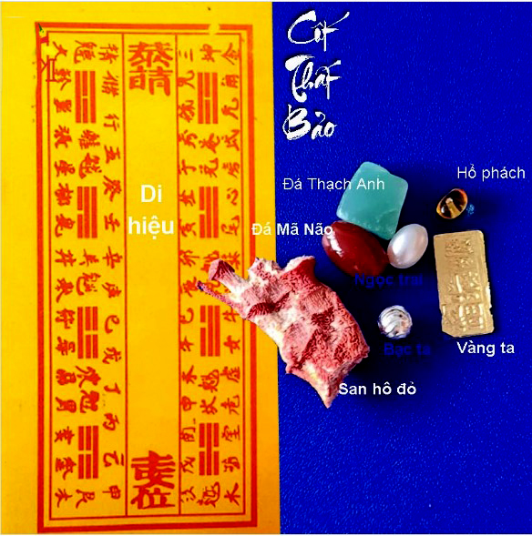CỐT 13