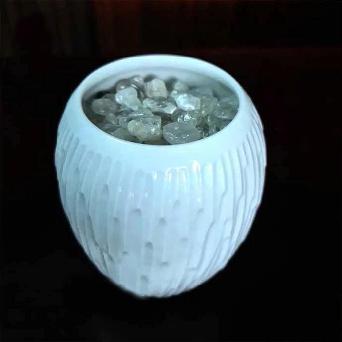 bảo bình thuỷ 2