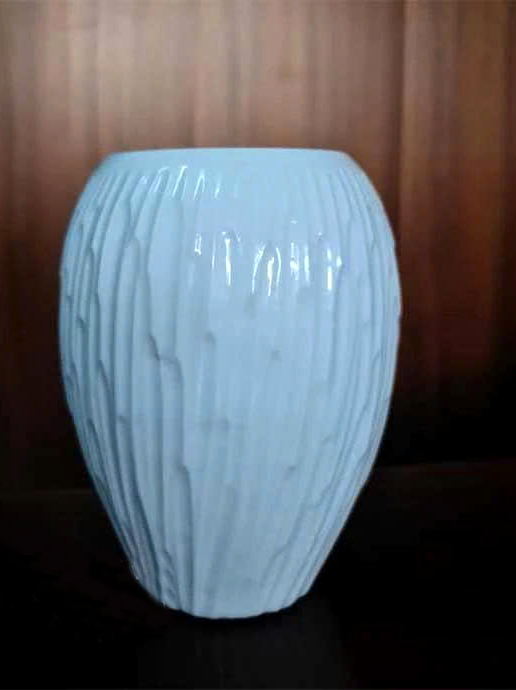 bảo bình thuỷ